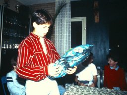 0DIA 1986 RAVA C1